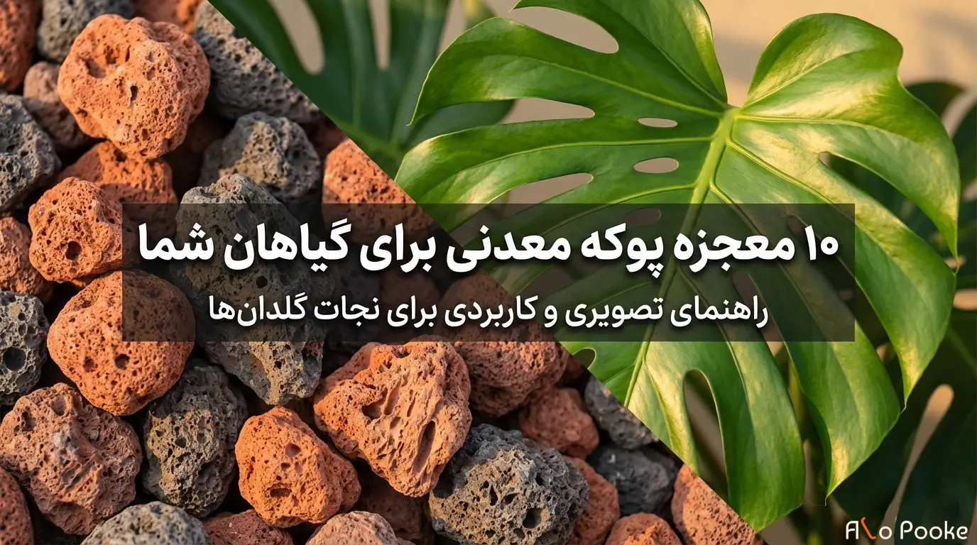 ۱۰ روش استفاده از پوکه معدنی و ریختن آن پای گلدان