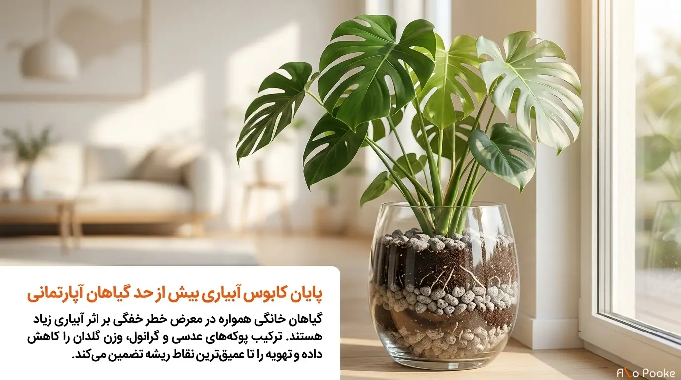 استفاده از پوکه معدنی برای بهبود شرایط رشد گیاهان