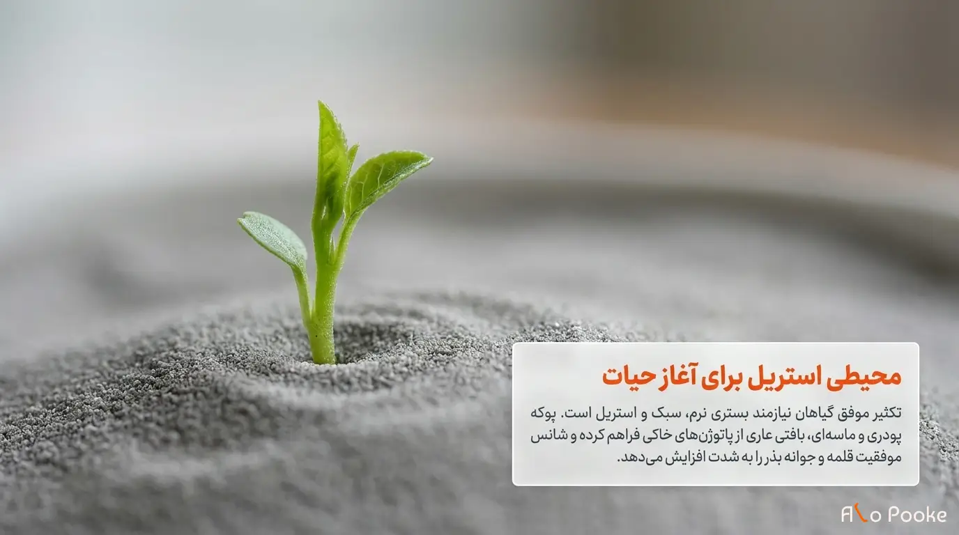 استفاده از پوکه معدنی برای بهبود شرایط رشد گیاهان