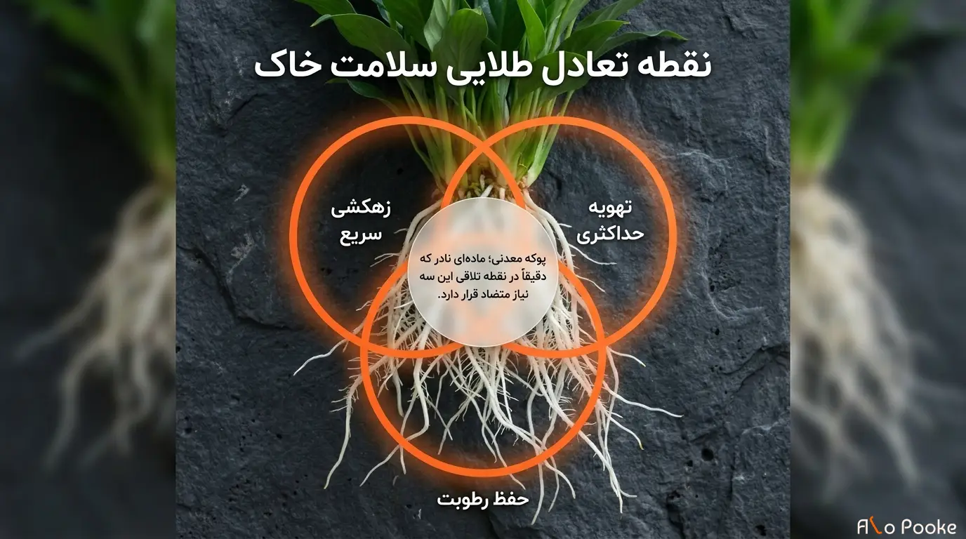 استفاده از پوکه معدنی برای بهبود شرایط رشد گیاهان