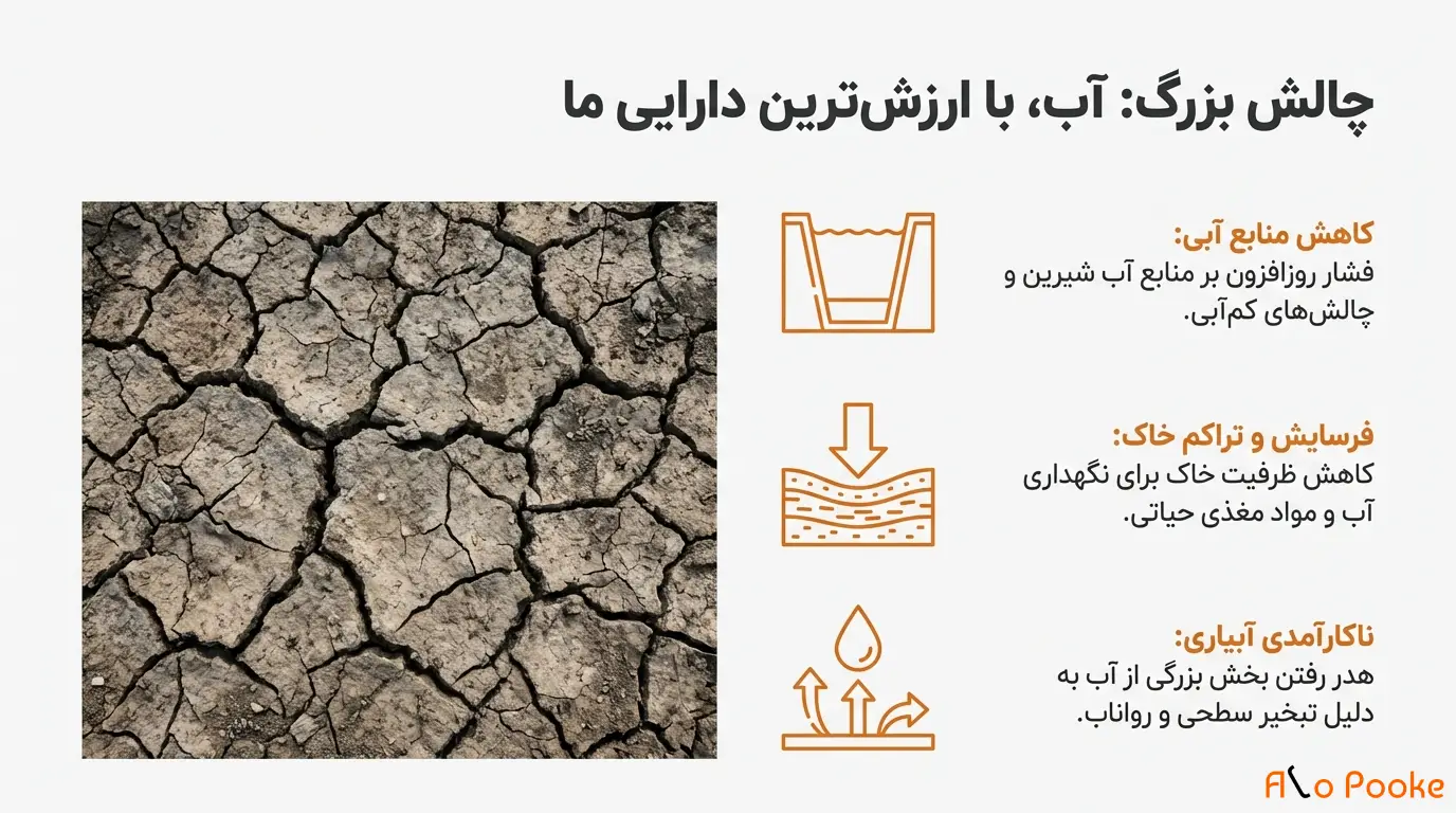 فواید استفاده از پوکه معدنی در سیستم_های آبیاری