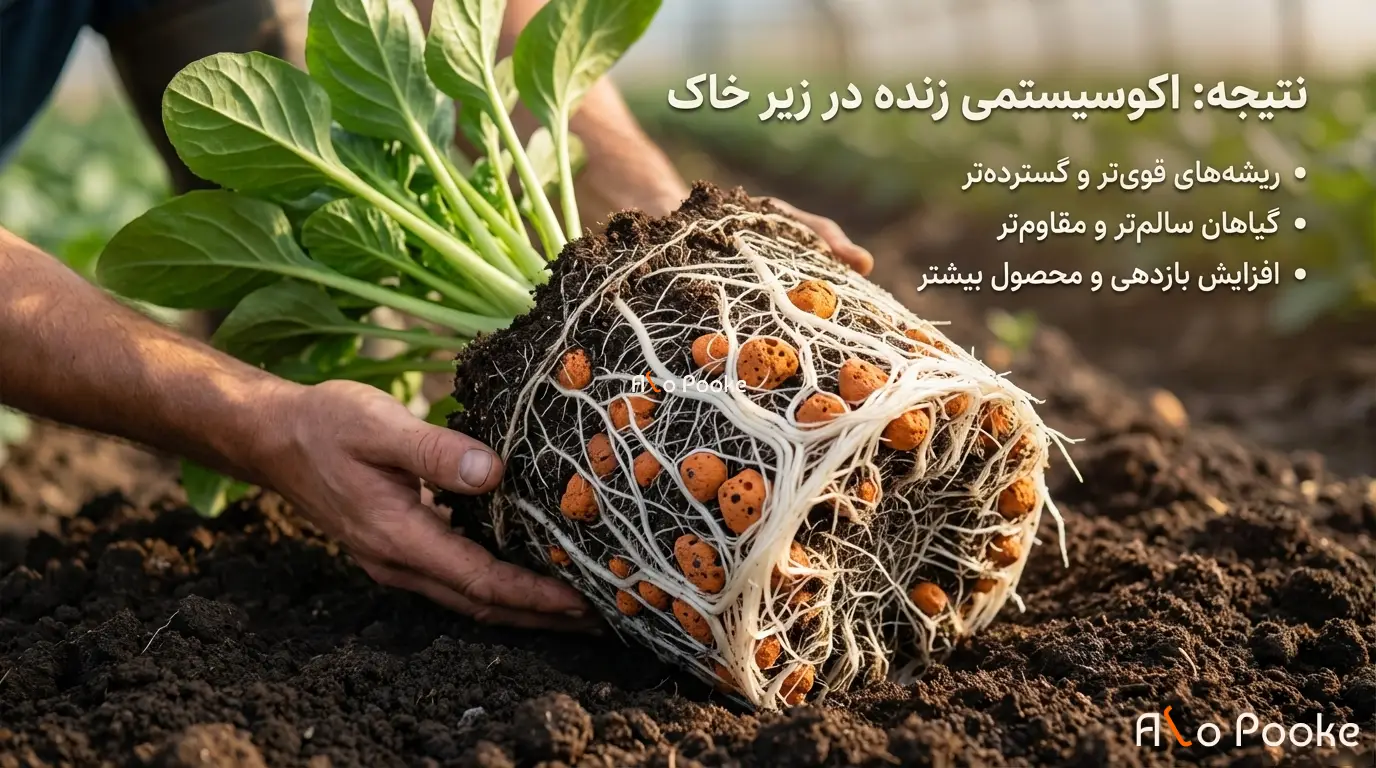 فواید استفاده از پوکه معدنی در کشاورزی پایدار