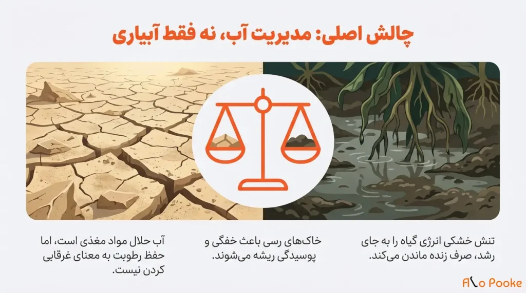 چگونه پوکه معدنی به حفظ رطوبت در گیاهان کمک میکند؟