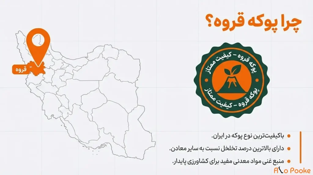 چگونه پوکه معدنی به حفظ رطوبت در گیاهان کمک میکند؟