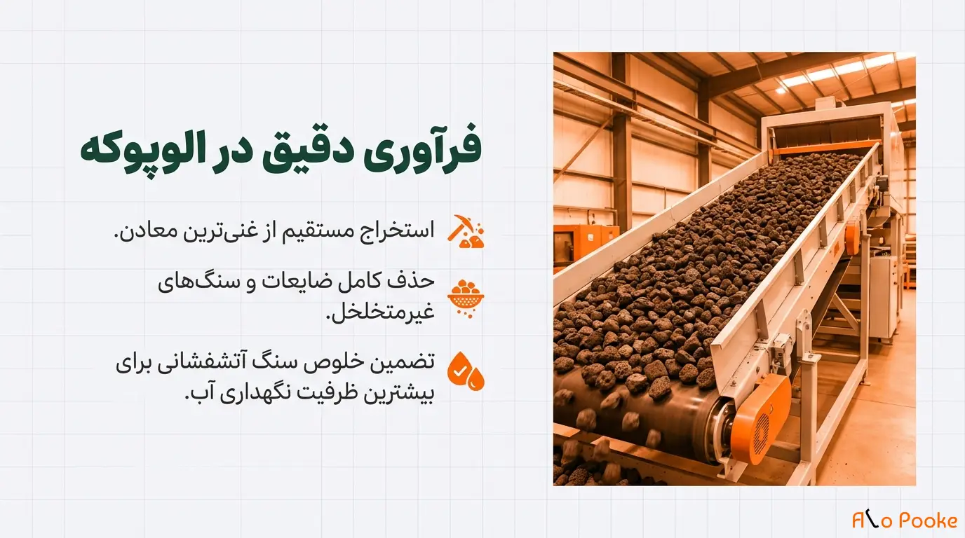 چگونه پوکه معدنی به حفظ رطوبت در گیاهان کمک میکند؟