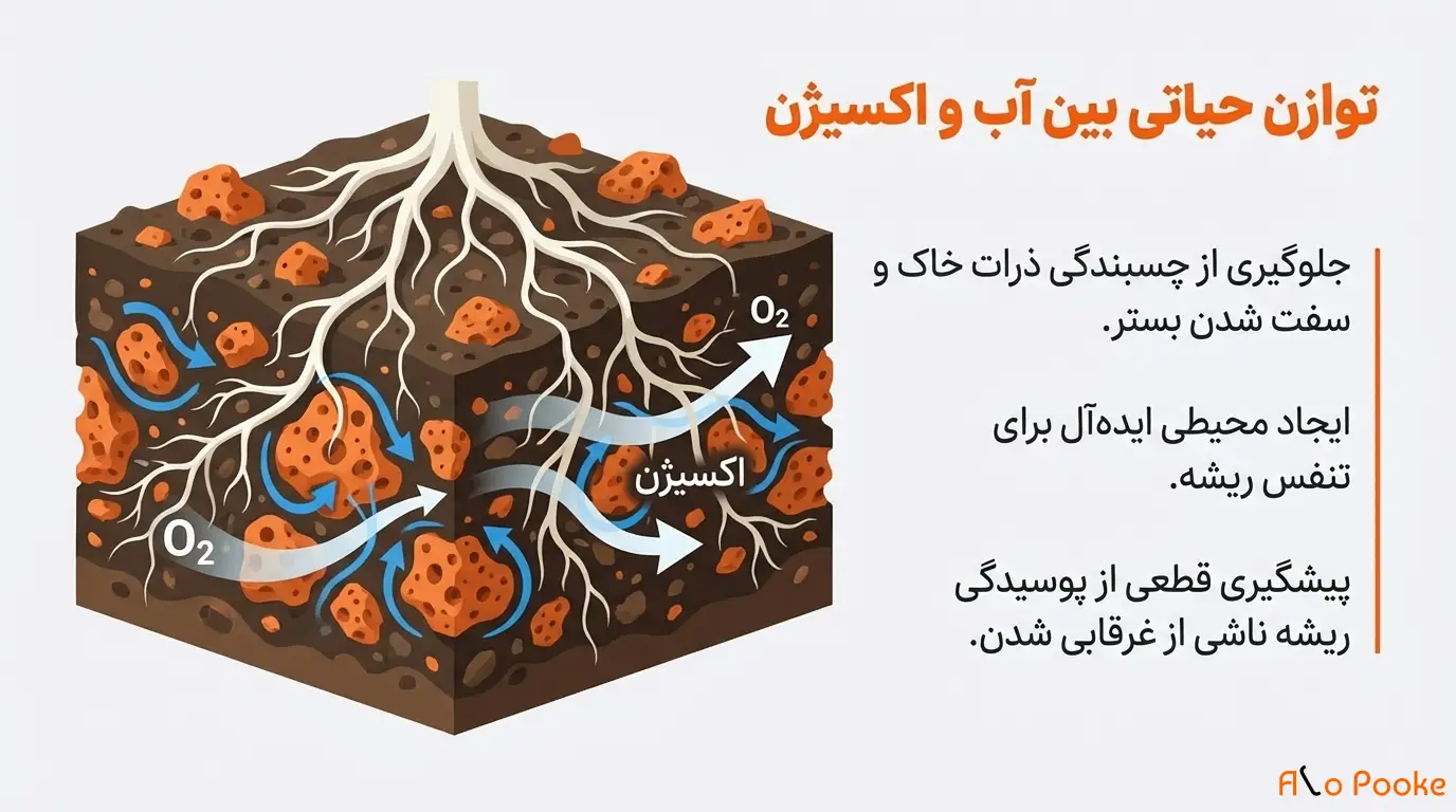 چگونه پوکه معدنی به حفظ رطوبت در گیاهان کمک میکند؟
