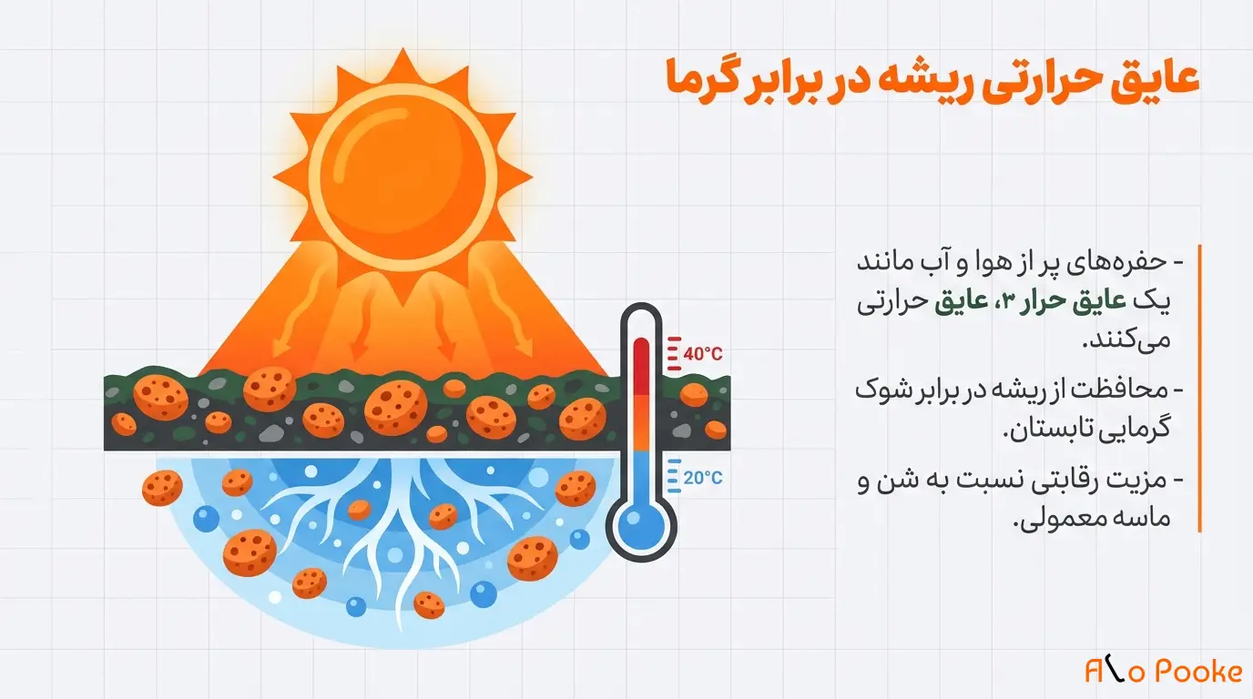 چگونه پوکه معدنی به حفظ رطوبت در گیاهان کمک میکند؟