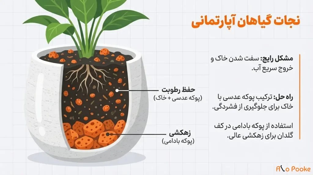چگونه پوکه معدنی به حفظ رطوبت در گیاهان کمک میکند؟