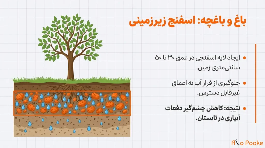 چگونه پوکه معدنی به حفظ رطوبت در گیاهان کمک میکند؟