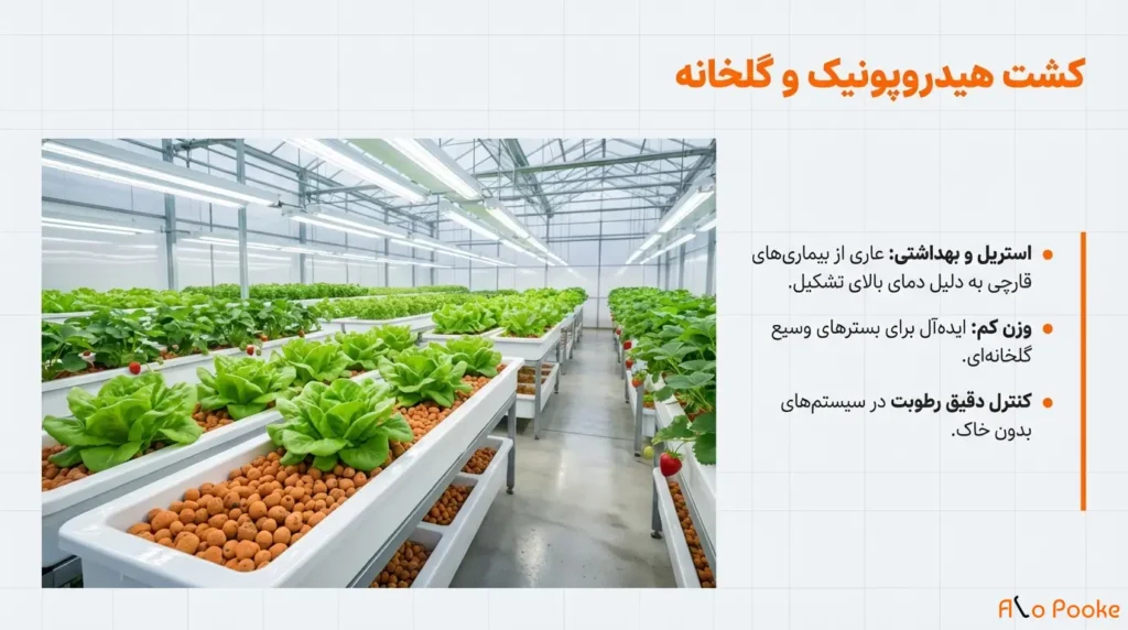 چگونه پوکه معدنی به حفظ رطوبت در گیاهان کمک میکند؟