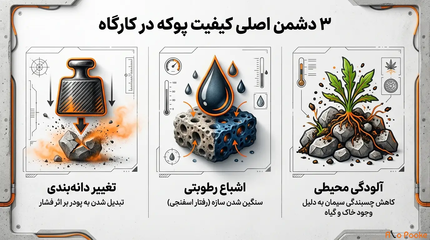 پوکه عدسی را چگونه نگهداری کنیم تا کیفیتش حفظ شود؟