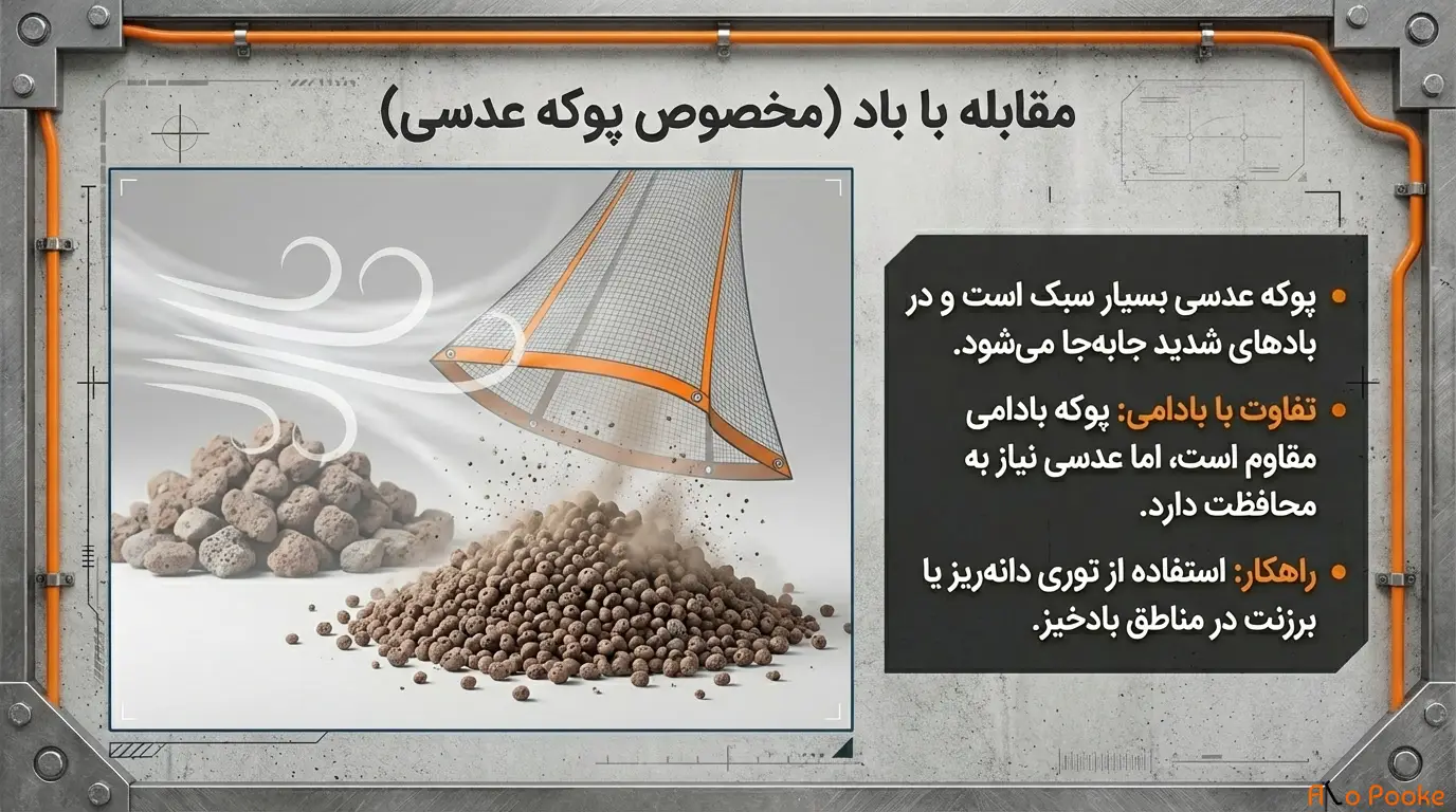 پوکه عدسی را چگونه نگهداری کنیم تا کیفیتش حفظ شود؟