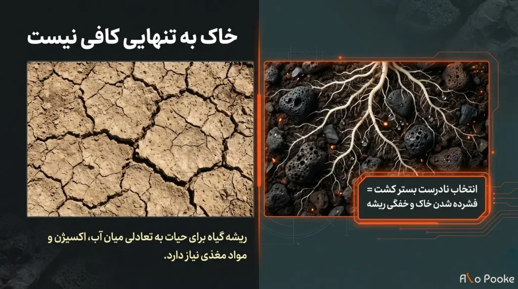 پوکه عدسی یا پرلیت؛ کدام برای کشاورزی بهتر است؟