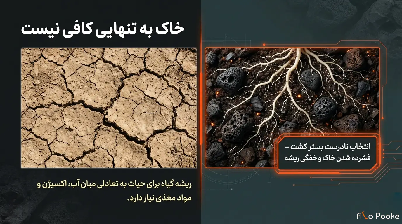 پوکه عدسی یا پرلیت؛ کدام برای کشاورزی بهتر است؟