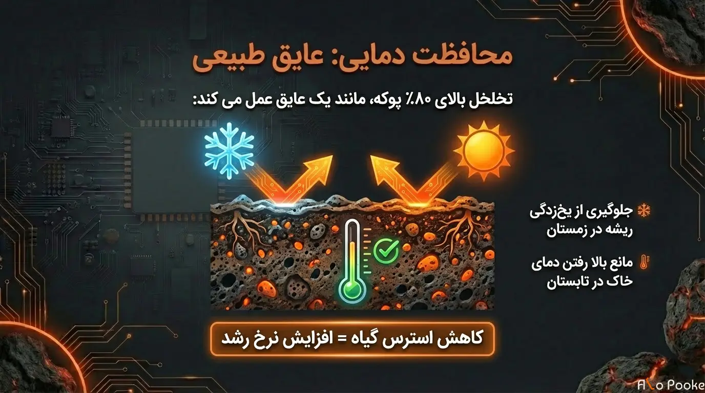 پوکه عدسی یا پرلیت؛ کدام برای کشاورزی بهتر است؟