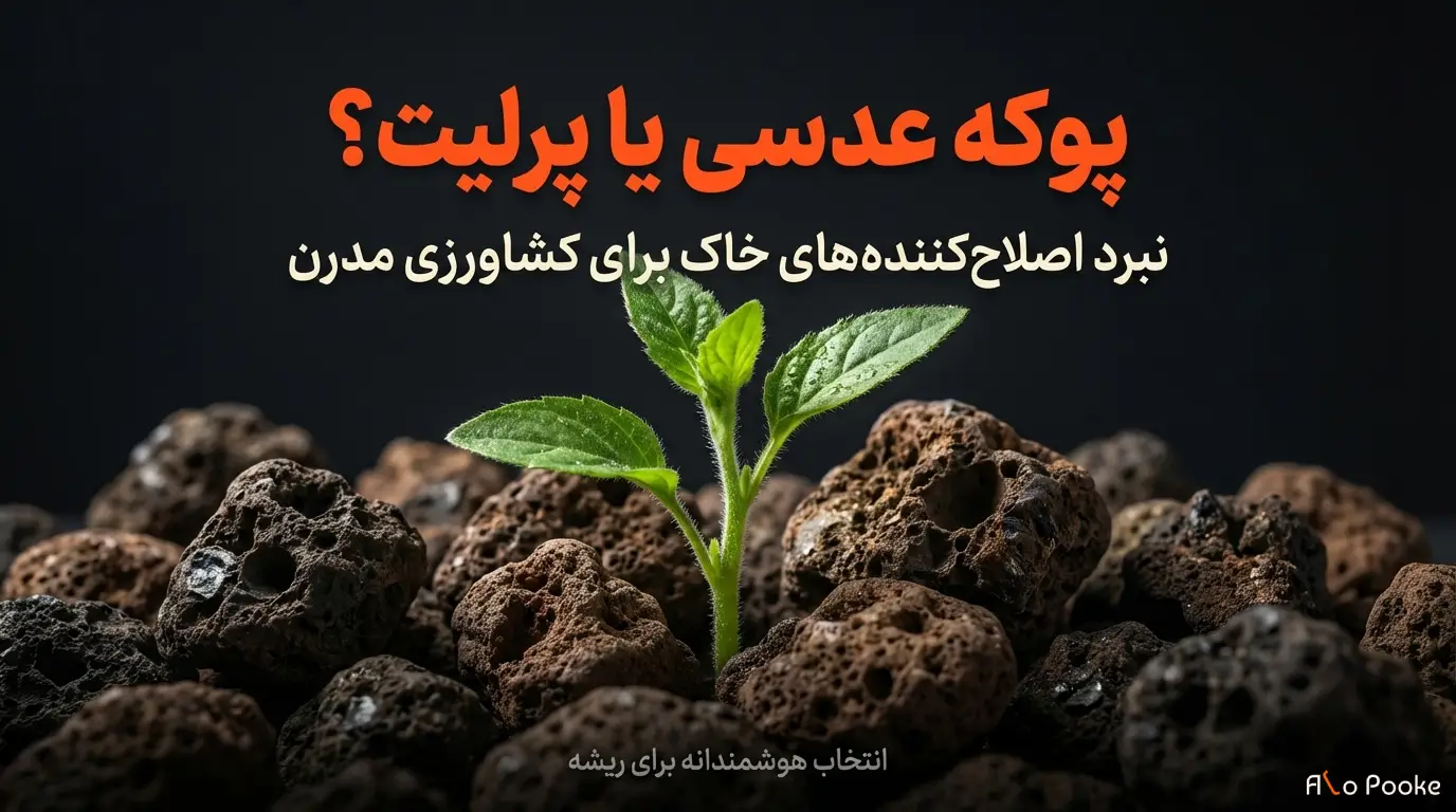 پوکه عدسی یا پرلیت؛ کدام برای کشاورزی بهتر است؟
