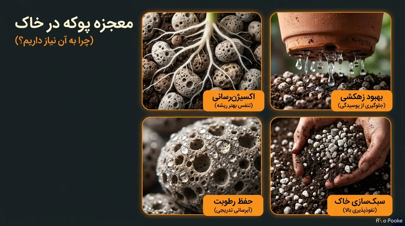 چرا از پوکه معدنی در گلدان و باغبانی استفاده می‌کنیم؟